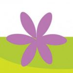 תמונת הפרופיל של מעיין אשד